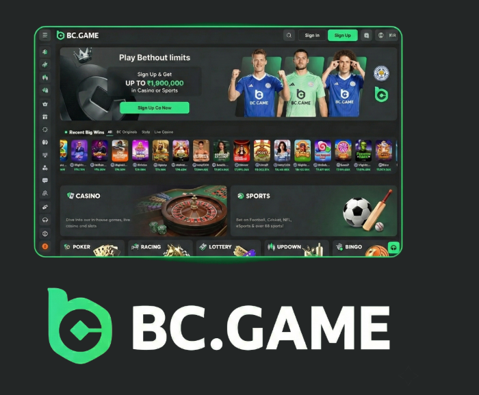 Exploring Official BC.Game Mirror Sites A Comprehensive Guide Exploring Official BC.Game Mirror Sites A Comprehensive Guide